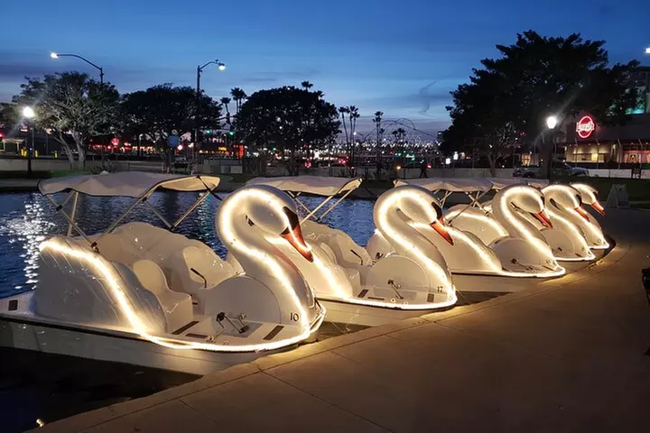 Swan Boat Rental at Rainbow Lagoon