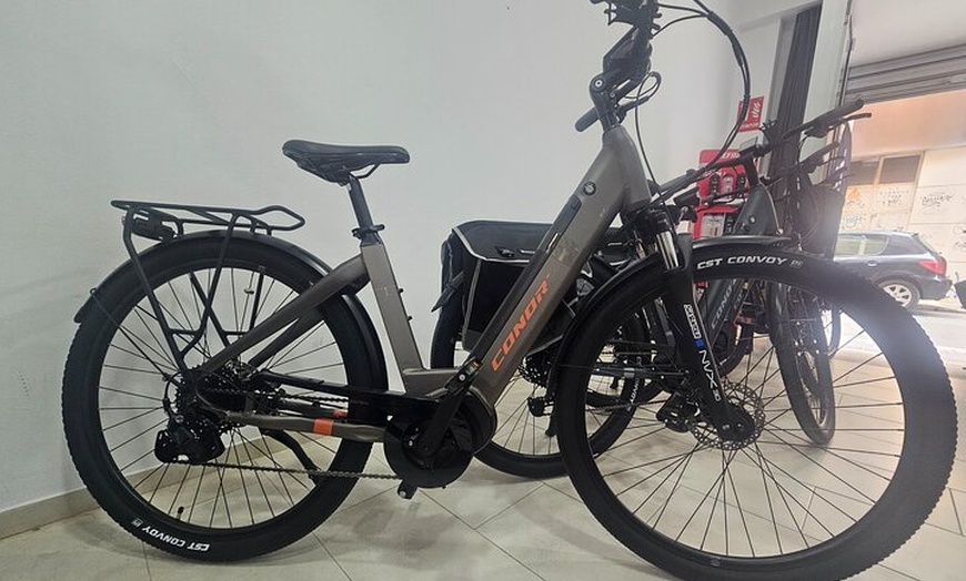 Image 4: Alquiler de bicicletas en Málaga