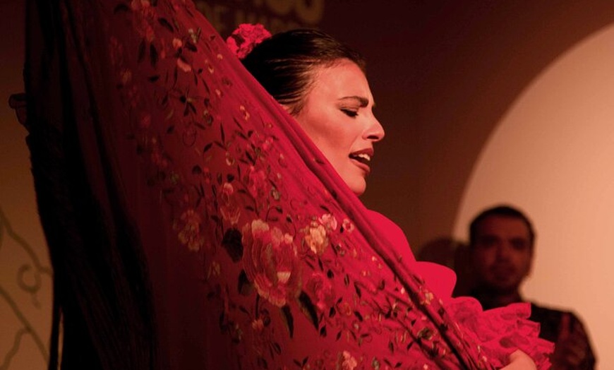 Image 22: Entrada al Centro Cultural Flamenco de Madrid