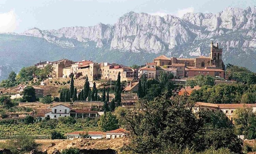 Image 8: Excursión de un día a Haro, Laguardia y dos bodegas de Rioja desde ...