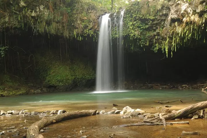 Maui part-way to Hana North Shore sightseeing & Photography Tour! - Primary Image