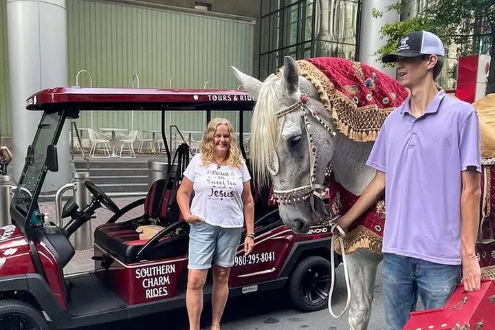 Charlotte's Ultimate Southern Charm Historical City Cart Tour