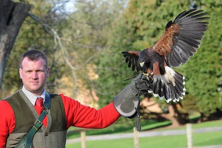 Leeds Castle Admission - Ultimate Explorer Tickets