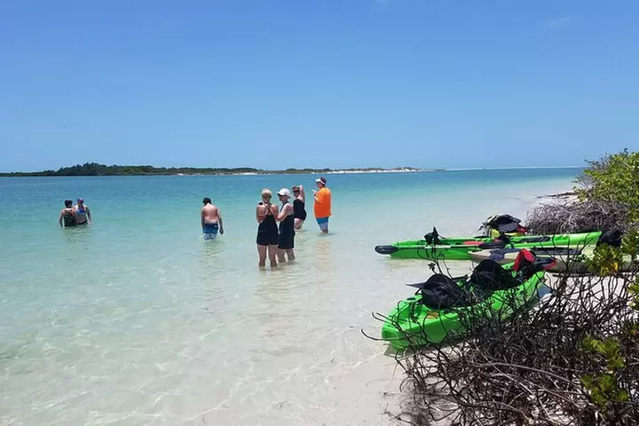 Guided Kayak EcoTour of Beautiful Shell Key Preserve