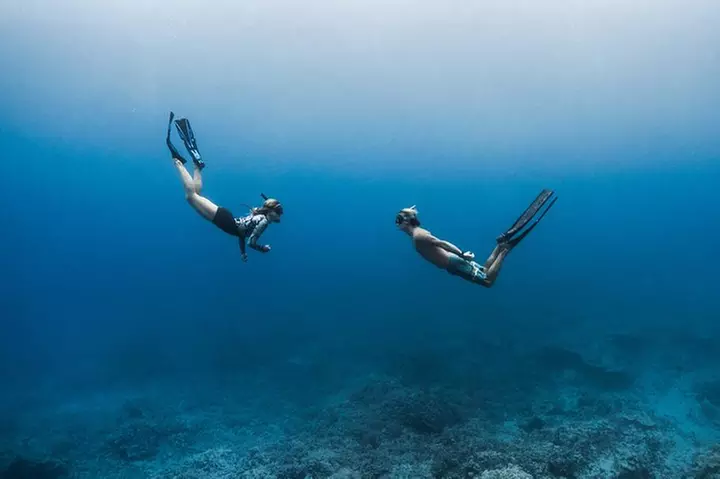 Kaimana Ocean Safari
