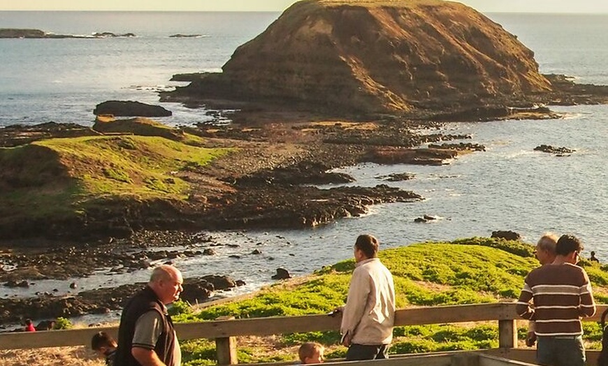 Image 10: Phillip Island Penguin Parade, Wildlife and Beach Boxes Bus Tour