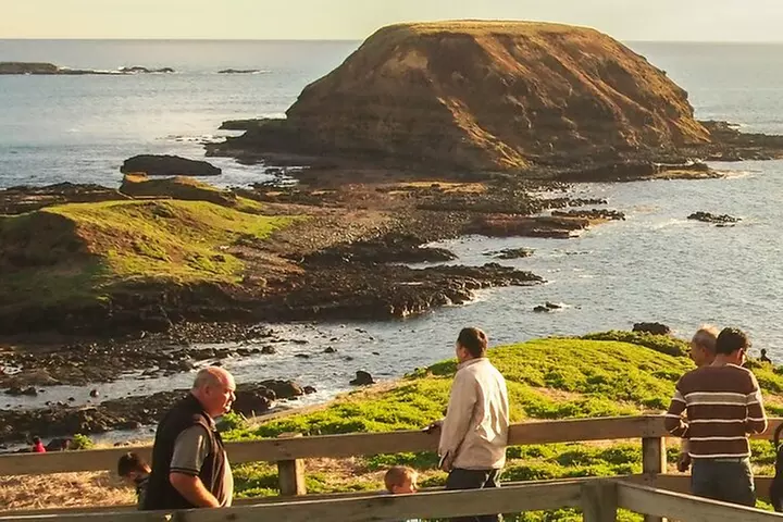 Phillip Island Penguin Parade, Wildlife and Beach Boxes Bus Tour