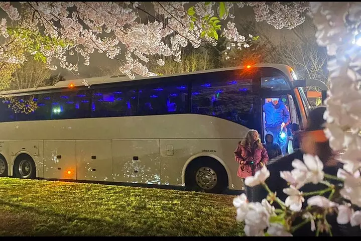 Discounted DC Night Tour With Magic LED- Snacks, LED Bracelets