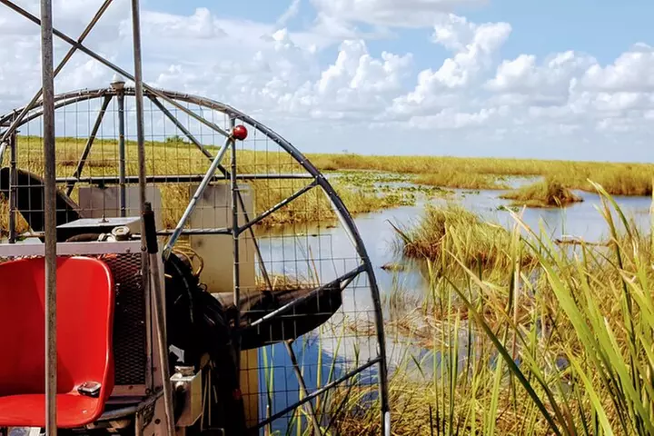 Everglades National Park Biologist Led Adventure: Cruise, Hike + Airboat