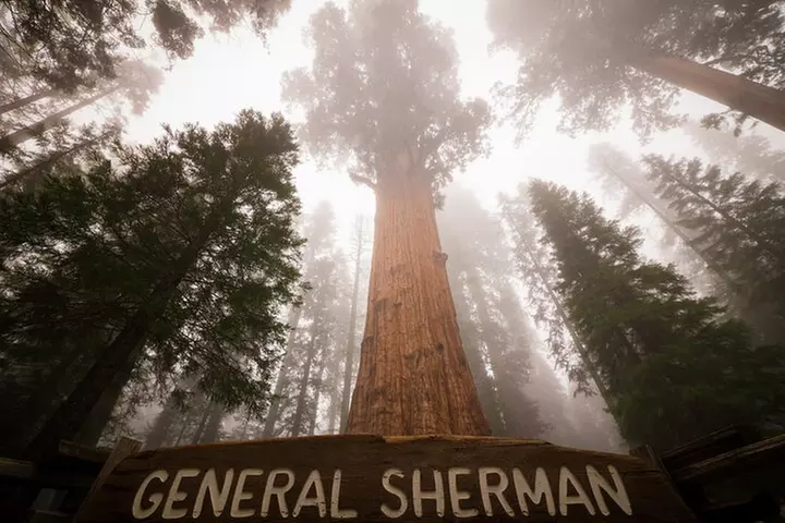 10+ Self-Guided Driving Tours from Las Vegas