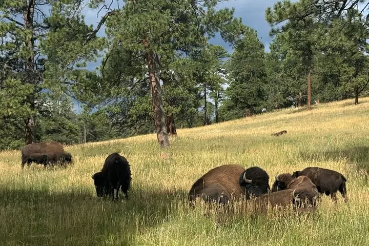 Denver, Golden, Lookout Mountain