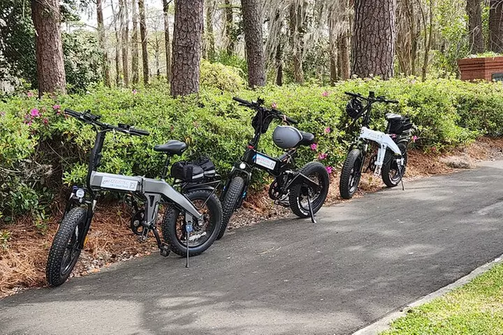 2-Hr, 45 Min Tour de Wilmington E-Bike Tour/Sightseeing/History