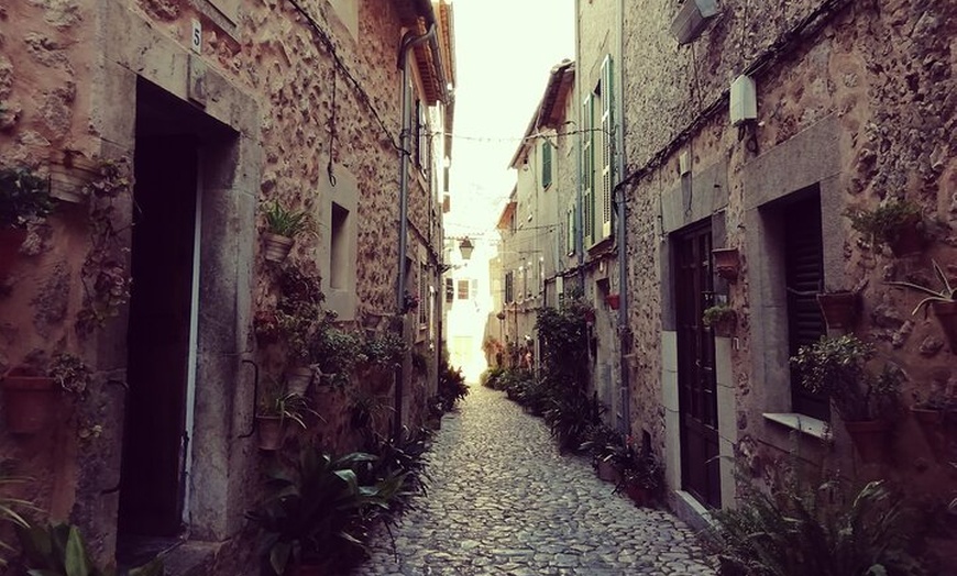 Image 6: Excursión privada con guía local en Mallorca