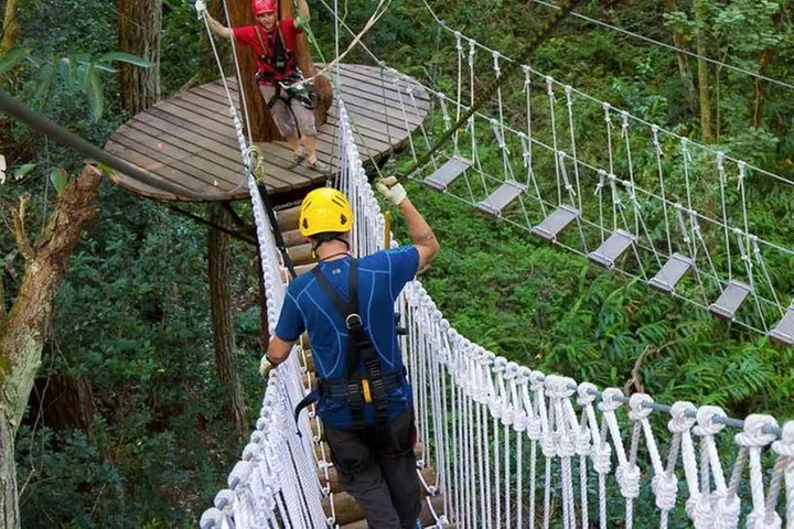 Big Island Kohala Zip and Dip Tour from Kona