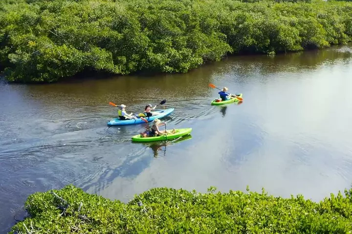 Kayaking the Canals of Venice, FL - Primary Image