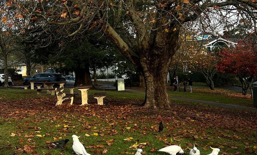 Image 5: Blue Mountains Private Group Day Tour from Sydney