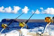 8 Hour Maui Private Fishing with Steady Pressure Charters - Second Medium