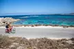 Experience Rottnest with Ferry & Bike Hire - Second Medium