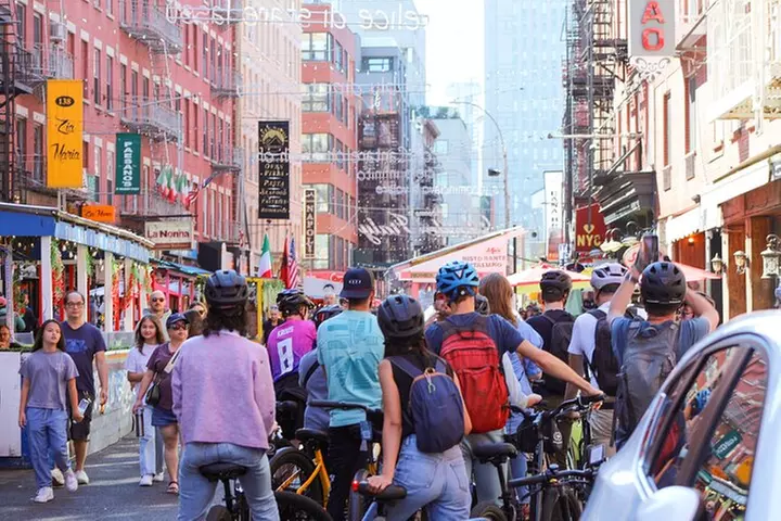 Highlights of New York City Guided Bike Tour (English or Dutch)