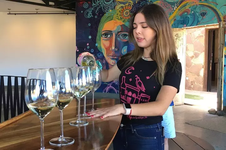 Luxury Private Wine Tasting Tour to Guadalupe Valley from San Diego