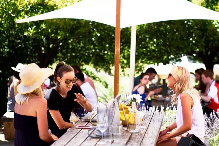 Montalto Vineyard: Mornington Peninsula Discovery Wine Tasting and ...