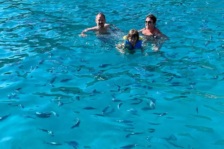 De Sagone/Cargèse: Scandola Girolata Calanques Piana Snorkeling