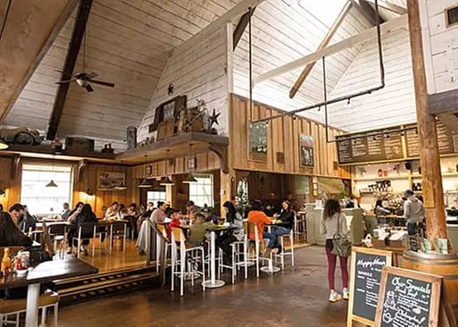 5% Cash Back at Coral Tree Cafe