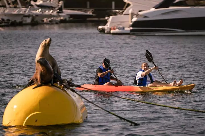 1-Hour Kayaking Activity in San Diego - Primary Image