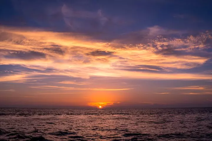 Manatee, Dolphin and 10,000 Islands Sunset Cruise!