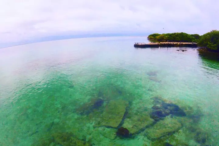 Florida Key Private Islands Exclusive Day Trip from Miami w/activ