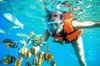 Half-Day Puerto Morelos Snorkeling Experience with Lunch