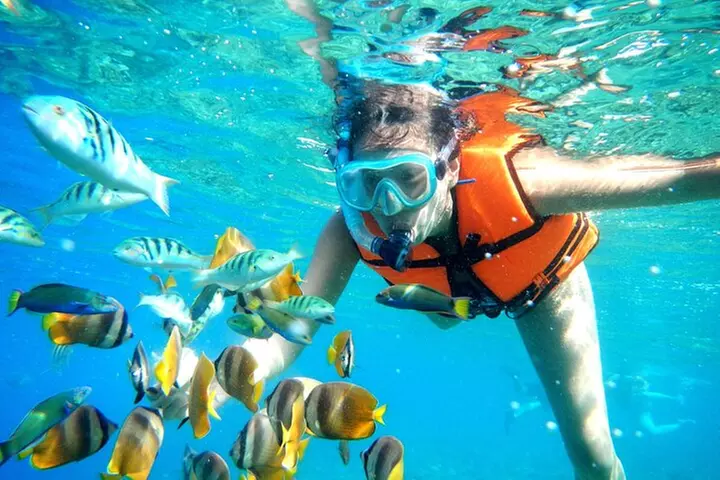Half-Day Puerto Morelos Snorkeling Experience with Lunch - Primary Image