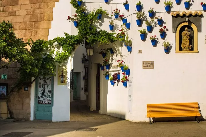 Noche Flamenca en Tablao de Carmen con Menú Degustación o Cena