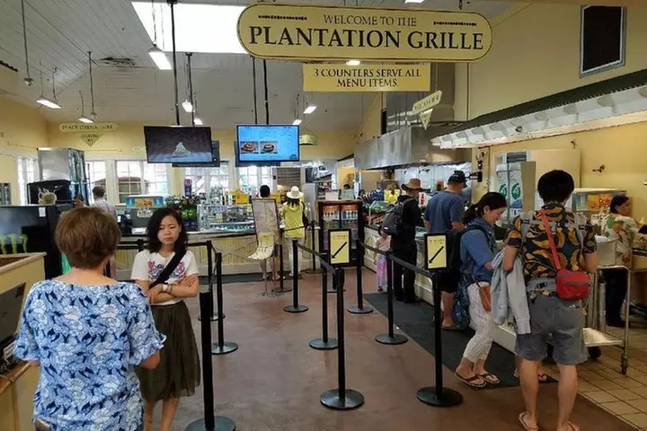 Ultimate Grand Oahu Circle Island Tour with Snorkeling and More