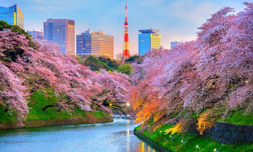 Image 5: ✈ JAPON | De Tokyo à Osaka - Authentique Japon 3* - Circuit