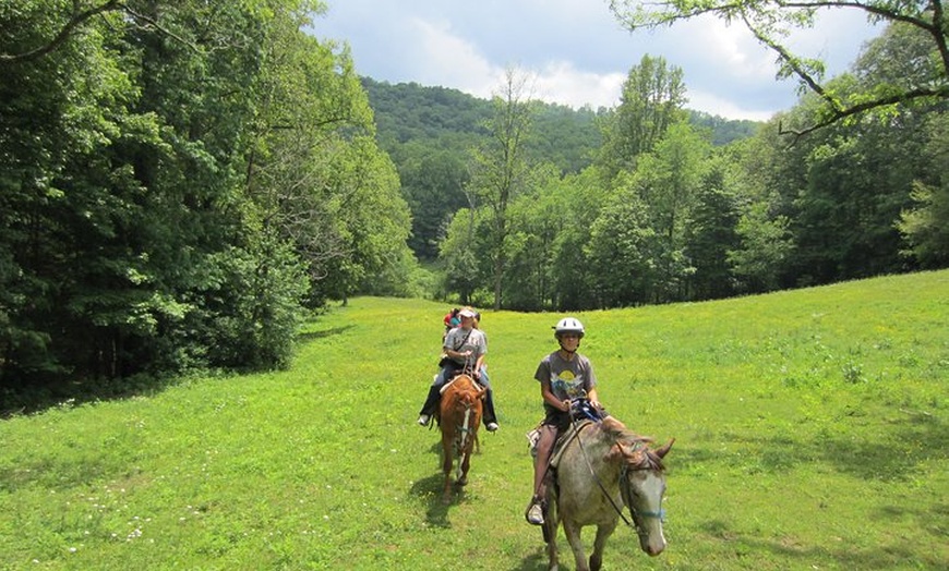 Arrowmont Stables & Cabins - Arrowmont Stables & Cabins | Groupon