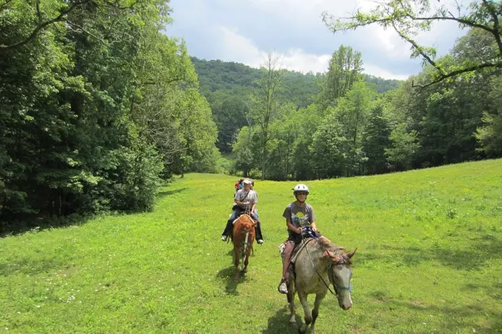 Guided Horseback Ride through Flame Azalea and Fern Forest