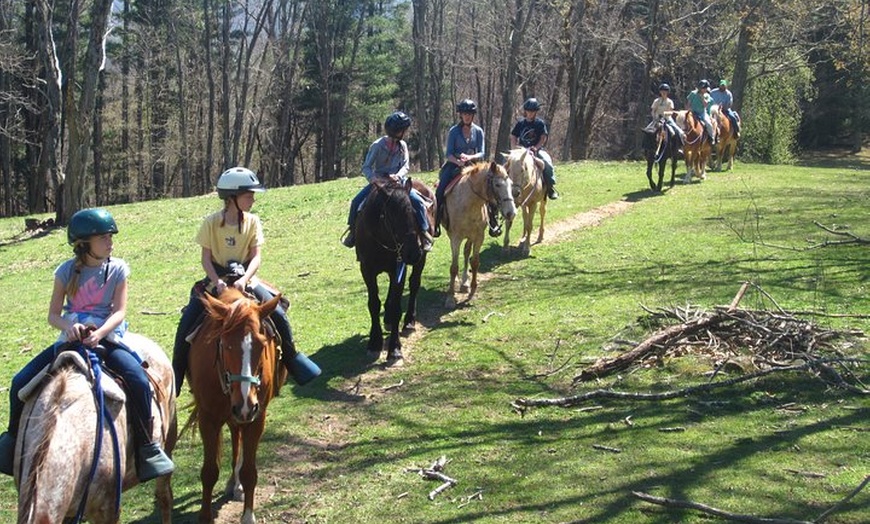 Arrowmont Stables & Cabins - Arrowmont Stables & Cabins | Groupon