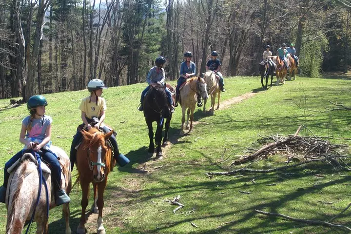 Guided Horseback Ride through Flame Azalea and Fern Forest