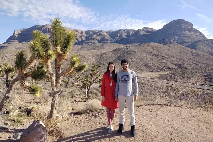 Grand Canyon West Skywalk Western Ranch Joshua Forest