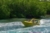 Jungle Tour with Snorkel in Cancun