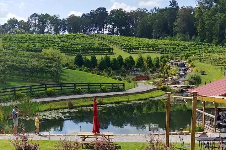 Half-Day Wine Tastings in the North Georgia Mountains