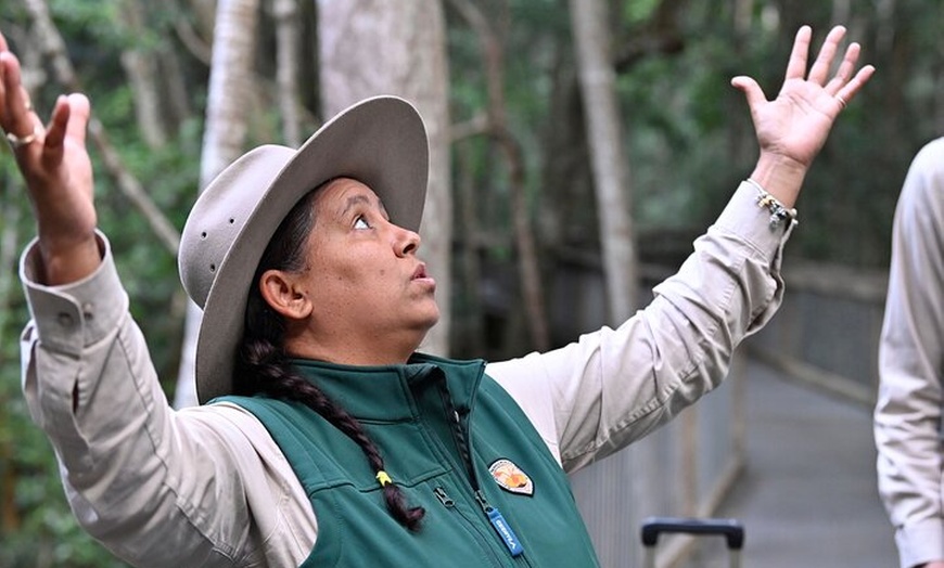 Image 2: Sea Acres National Park: Sea Acres Aboriginal Coastal Tour