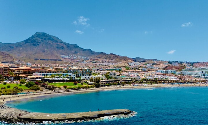 Image 7: 5 horas Avistamiento y escucha de ballenas y delfines visitando Los...