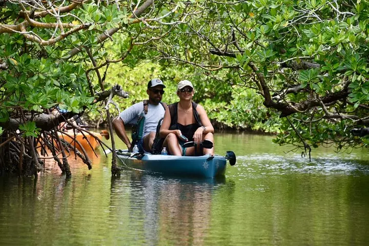 Exclusive Relax & Explore Pedal Kayak Tour Marco Island & Naples