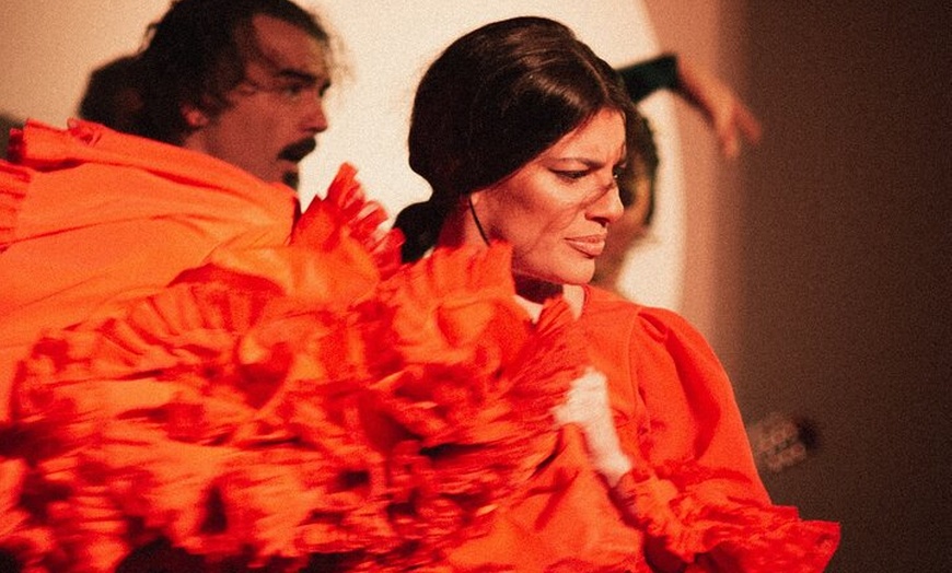 Image 15: Entrada al Centro Cultural Flamenco de Madrid