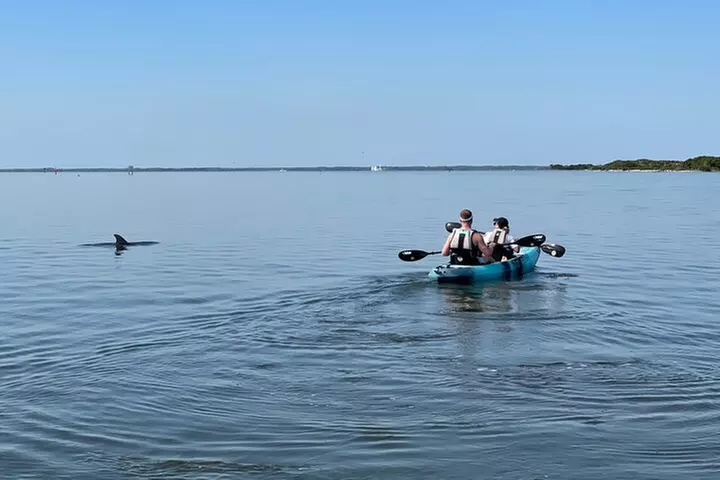 Wildlife Refuge Manatee, Dolphin & Mangrove Kayak or Paddleboarding...
