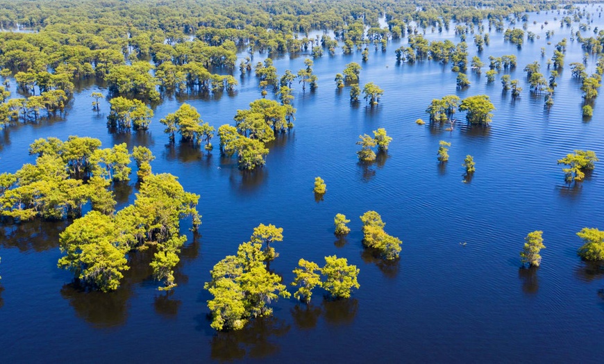 Image 8: ✈ LOUISIANE | Nouvelle Orleans - Les Incontournables de la Louisian...