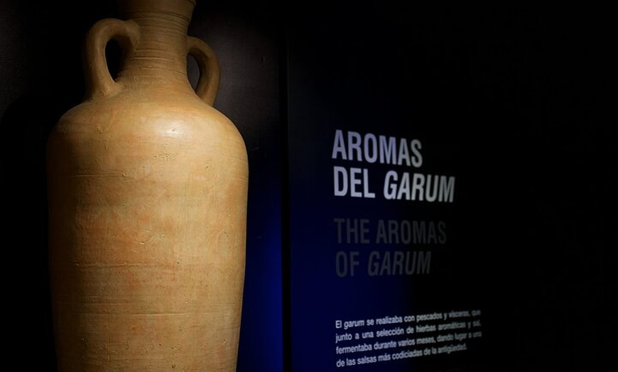 Image 8: Tour Privado a la Villa Romana Antiopa en Málaga