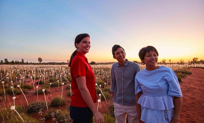 Image 9: Uluru (Ayers Rock) Field of Light Sunrise Tour